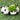 Animal Planter Hamper