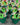 Minecraft Hamper (H0223) - EleWrap Gifting Studio