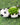 Animal Planter (H049) - EleWrap Gifting Studio