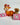 Animal Planter (H049) - EleWrap Gifting Studio
