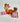 Animal Planter (H049) - EleWrap Gifting Studio