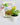 Sprouting Joy (H0234) - EleWrap Gifting Studio