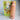 Attro Bottle